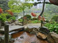Shukkeien Garden: A Tranquil Escape in Hiroshima