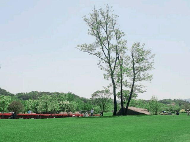 모든 순간이 초록 🌱순천만국가정원