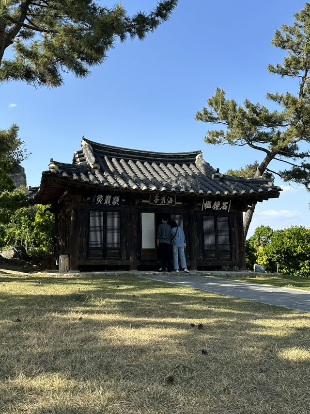 푸르른 동해바다 파도를 머금은 🌊 동해 추암해변 랜드마크 여행가이드🏄‍♂️