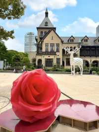 KIOI ROSE WEEK 2025 – Blooming Beauty in the City