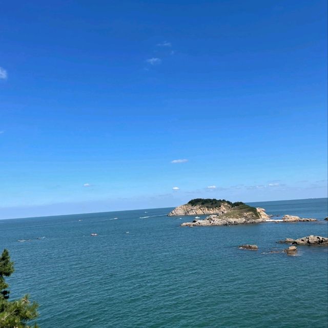 三連島綠地開放共享區