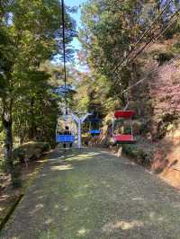 Loved My Day at Mt. Takao!