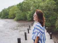 ทุ่งโปรงทอง แลนด์มาร์คแห่งจังหวัดระยอง