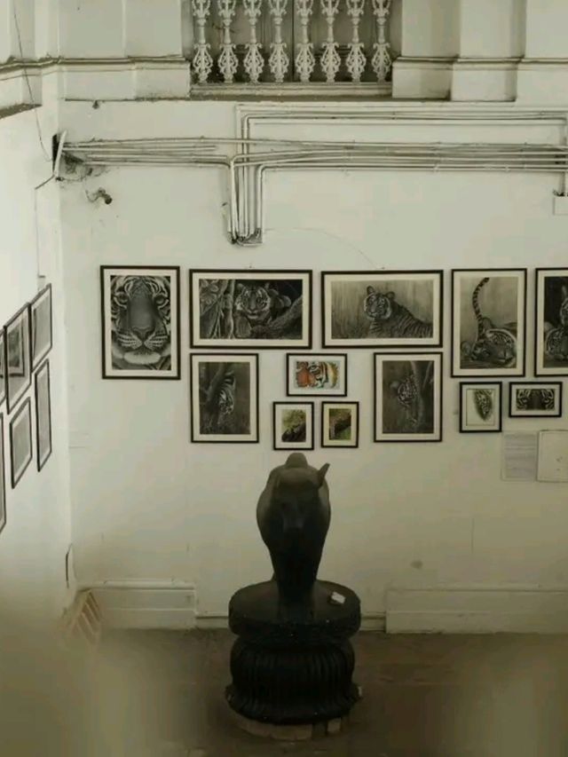Discovering History at the Indian Museum, Kolkata – A Journey Through Time