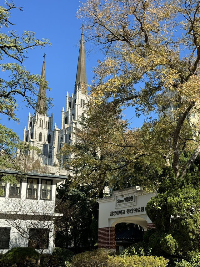 大邱青蘿坡｜安和寧靜的城市一隅⛪️