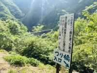 I found Japan’s Most Peaceful Spring Hike at Lake Chichibu!