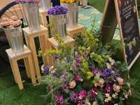 進入Lego的花花世界