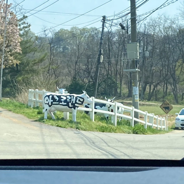 충남 당진·서산 1박 2일 여행코스 추천 드릴게요!⛅️