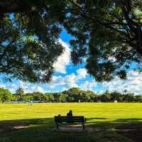 ​喜士定公園 - 寬廣綠港