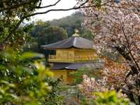 Discovering the Soul of Kyoto: A Journey Through Time and Tradition