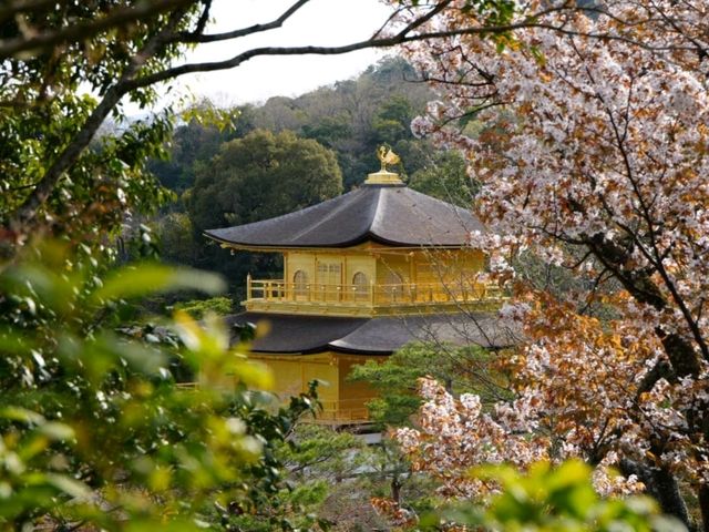 Discovering the Soul of Kyoto: A Journey Through Time and Tradition