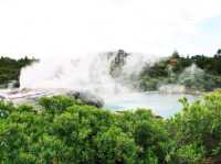 #波胡圖間歇噴泉Pohutu Geyser -紐西蘭羅託魯瓦