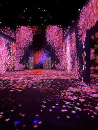 澳門teamlab 超自然空間20250516