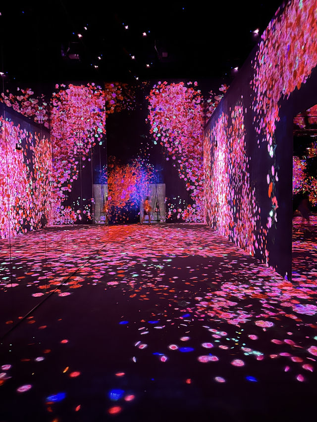 澳門teamlab 超自然空間20250516