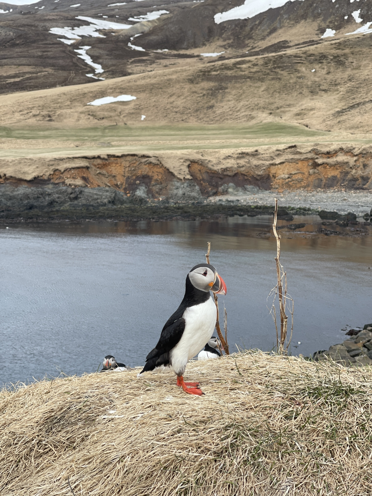 Iceland 7-Day Summer Road Trip Guide