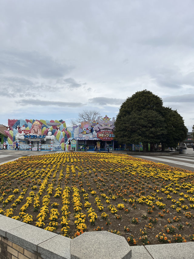 🌸【春日花季攻略】國營常陸海濱公園｜錯過粉蝶花也不怕，鬱金香、櫻花、童話風車一次收服你的鏡頭！