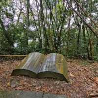 Refreshing Escape on Mt Qinglong Trail