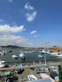 【神奈川】葉山女子旅きっぷで満喫🩵 海とグルメの1泊2日旅👜🎀