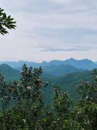 香港｜去嶂上營地吃一碗豆腐花🏕️