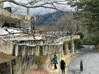 Hakone Venetian Glass Museum – A Magical Fusion of Art and Nature