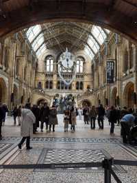 英國自然史博物館🏛人氣恐龍化石，大開眼界（Natural History Museum）