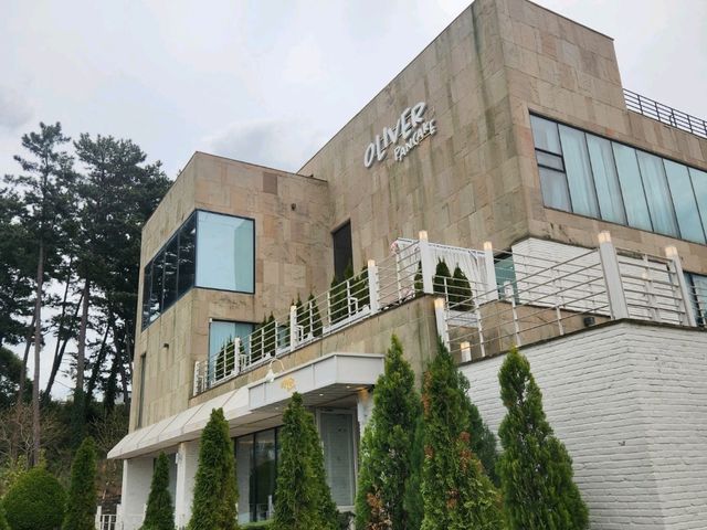 제주 올리버 팬케이크 브런치 맛집