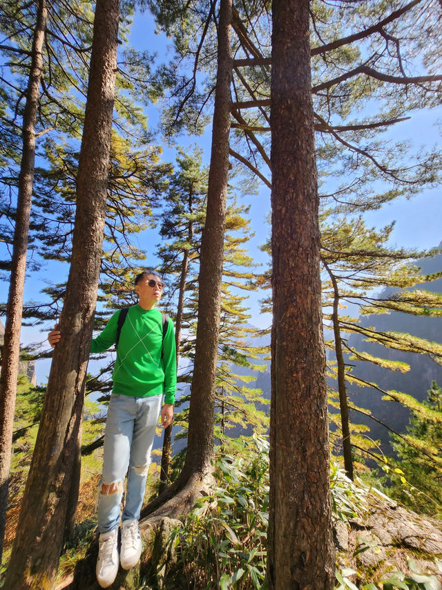 黃山風景區