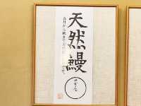 🌸九州百年老字號🎏極品蒸籠鰻魚🌸