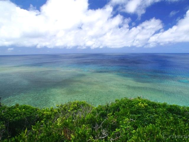 【沖縄宮古島】まるでグレートバリアリーフ！「フナウサギバナタ」