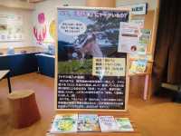 Tsuruoka City Nature Learning and Exchange Center Hotoria