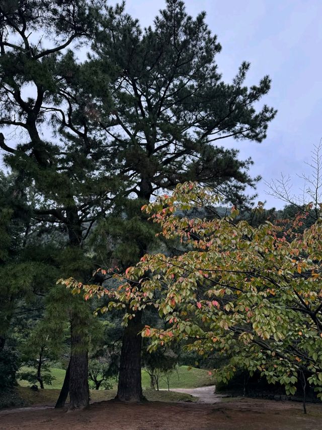 Spring Feels in Iya Valley