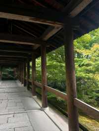 Hanging Out at Tofukuji 