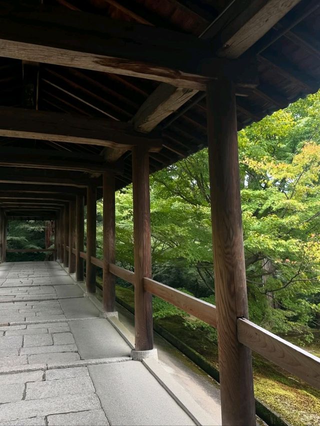 Hanging Out at Tofukuji 