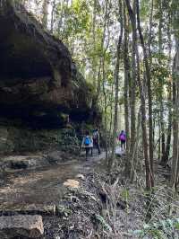 Prince Henry Cliff Walk at Blue Mountain, Sydney