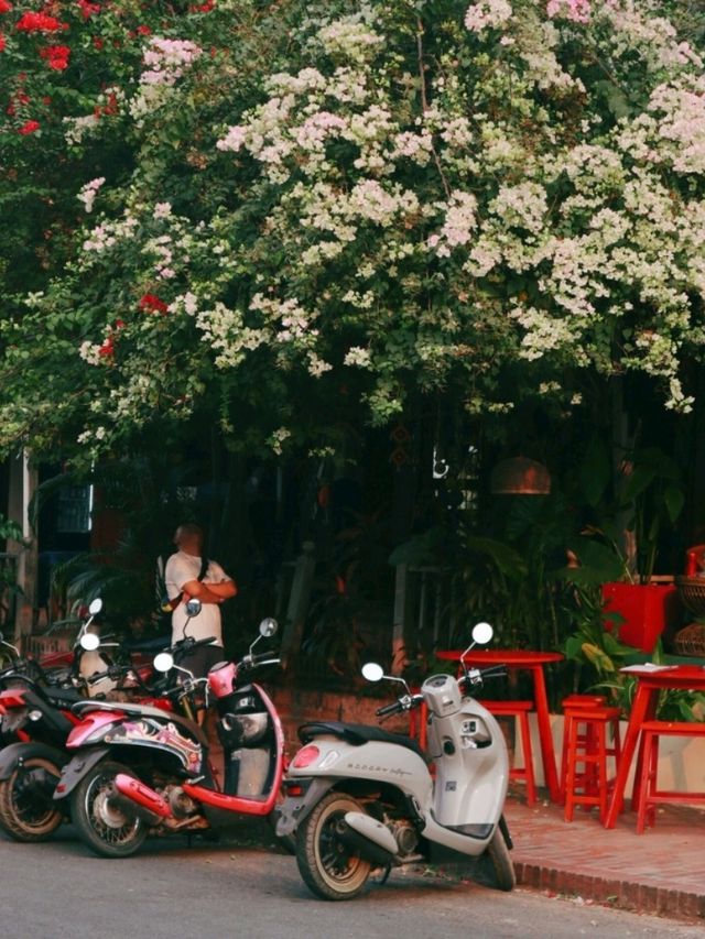 Luang Prabang: Where Time Slows Along the Mekong