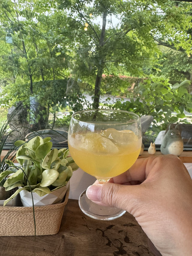 【福岡グルメ】古民家をリノベーションした落ち着いた雰囲気のカフェ☕️