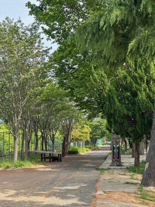부산 근교, 산책하기 좋은 대규모 강변공원 추천