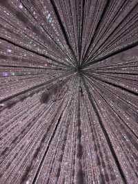 Teamlab Borderless Tokyo