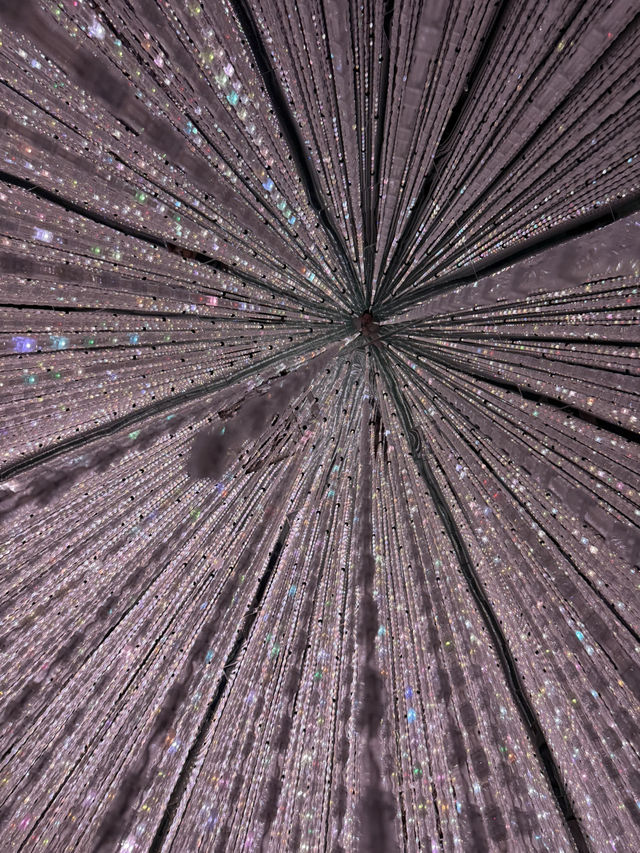 Teamlab Borderless Tokyo