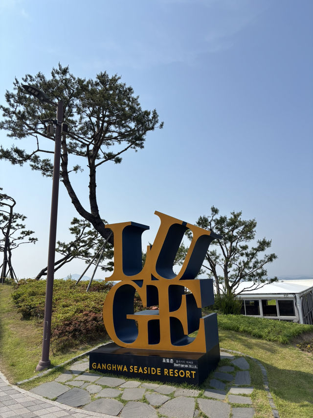 강화도 가면 꼭 타기 좋은 강화루지😆