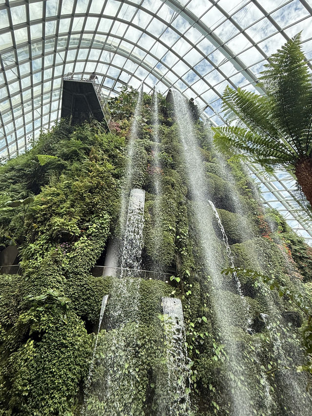 滿滿行程一點沒耽誤的新加坡之旅！