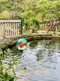 香港｜自然教育，野餐🧺，狗狗遊樂好去處.