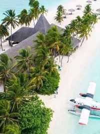🌴 Stay at Emerald Faarufushi Maldives – A Slice of Paradise! 🏝️