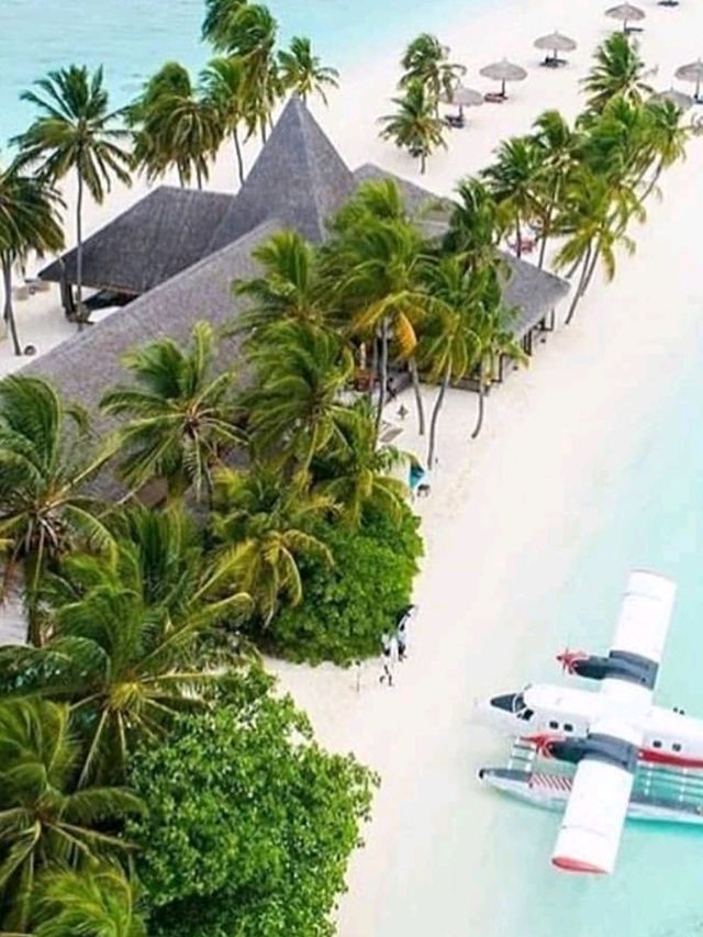 🌴 Stay at Emerald Faarufushi Maldives – A Slice of Paradise! 🏝️