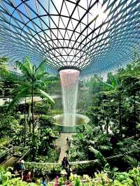 สิงคโปร์🇸🇬