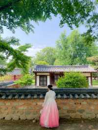 전주 경기전, 봄 감성 가득한 산책 코스🌸