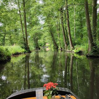 Spreewald