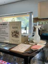 🌲 숲과 바다의 조화, 안녕나무야 카페
