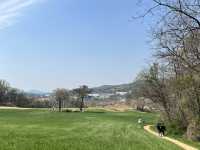 충남 당진 아그로랜드 태신목장 당일치기 여행 코스💚🌞