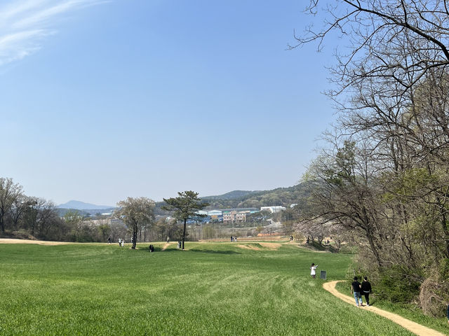 충남 당진 아그로랜드 태신목장 당일치기 여행 코스💚🌞